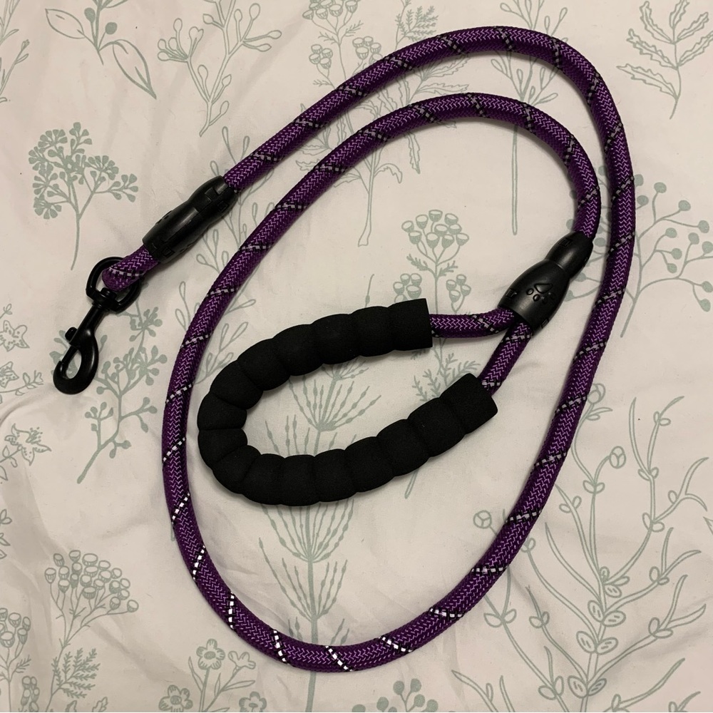 dog leash